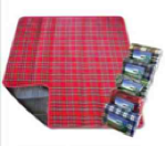 Picnic Time Blanket Tote