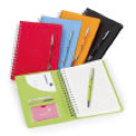 NEOSKIN WITH LINED SHEETS AND PEN
PEN